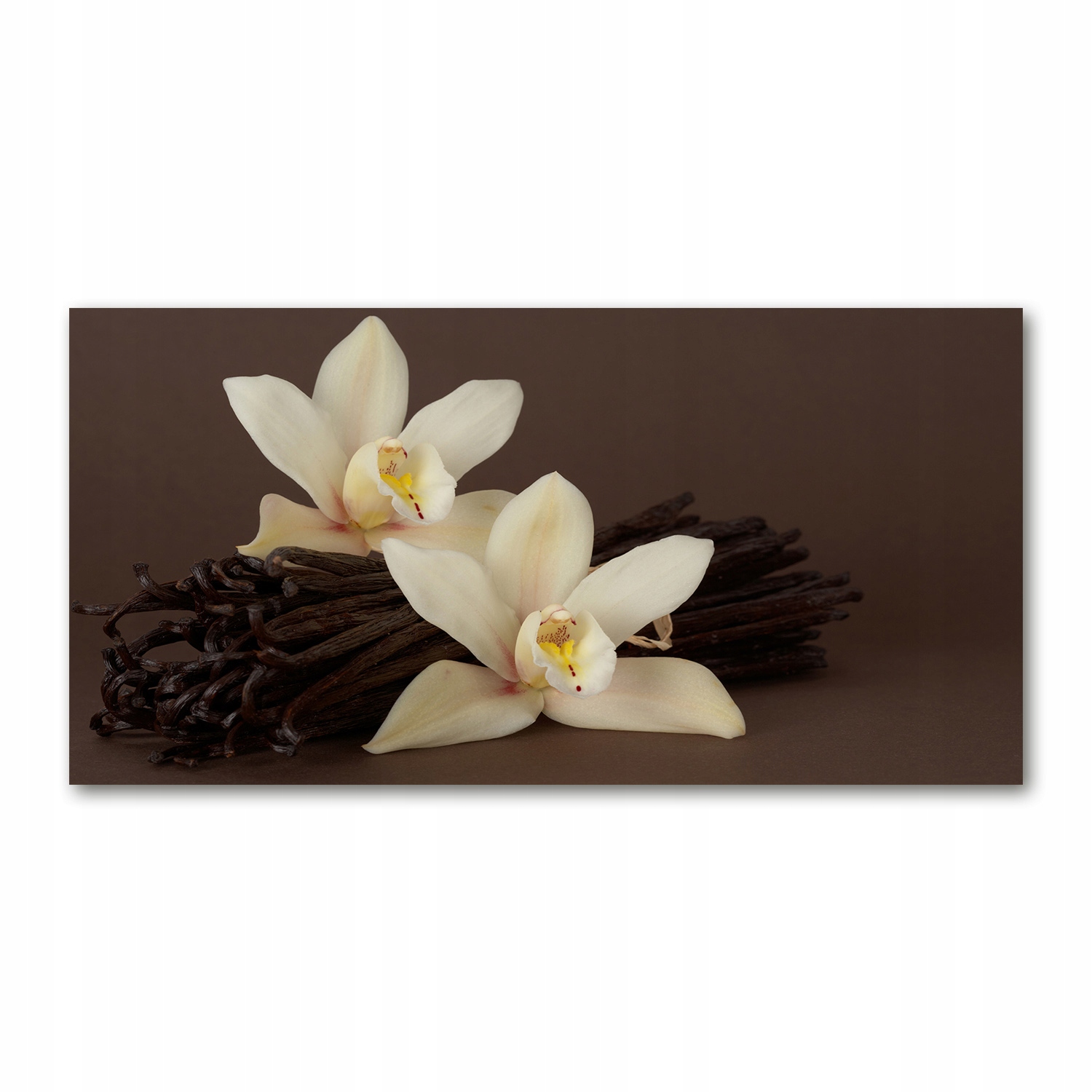 

Foto obraz akryl zdjęcie Laski wanilii 120X60 cm