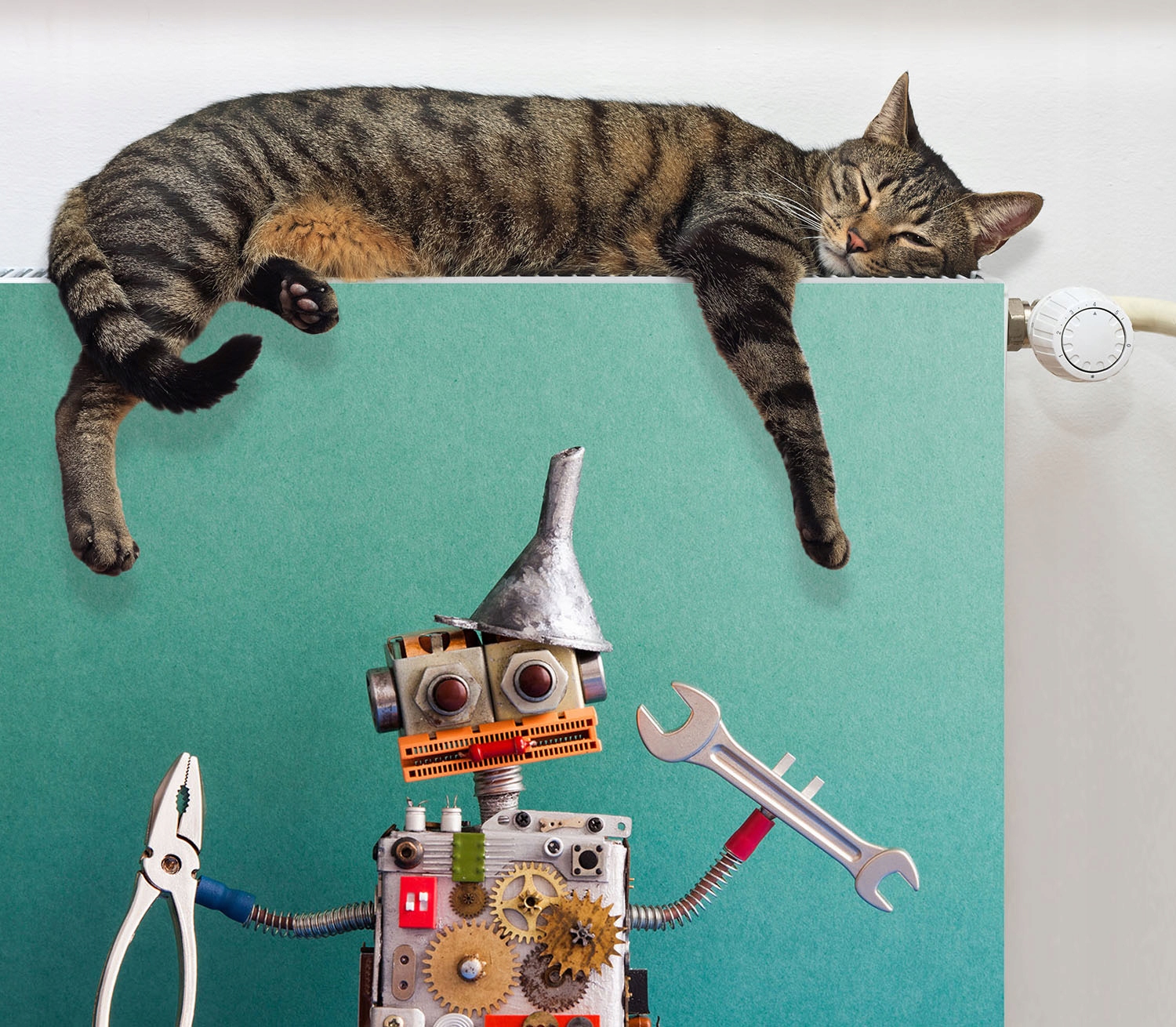 MAGNETYCZNA OSŁONA NA KALORYFER 60x60 ART FOTOTAPETA Rodzaj produkt gotowy