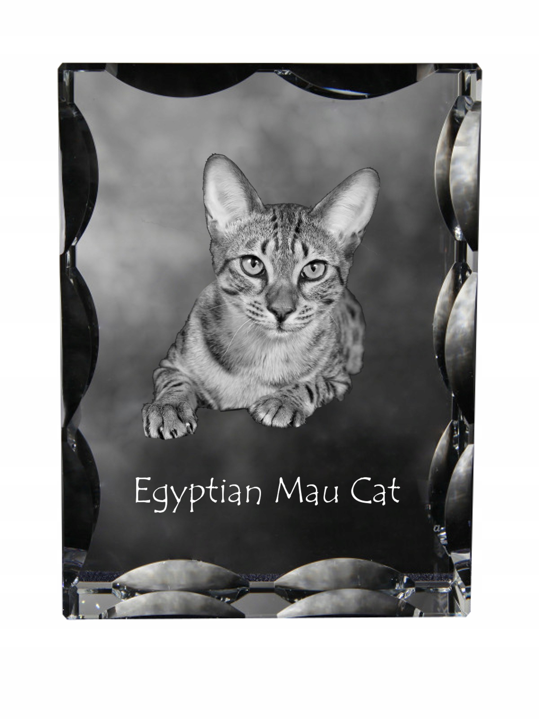 Egyptská mačka Mau fotografia v ozdobnom kryštáli, suvenír, dekorácia domu