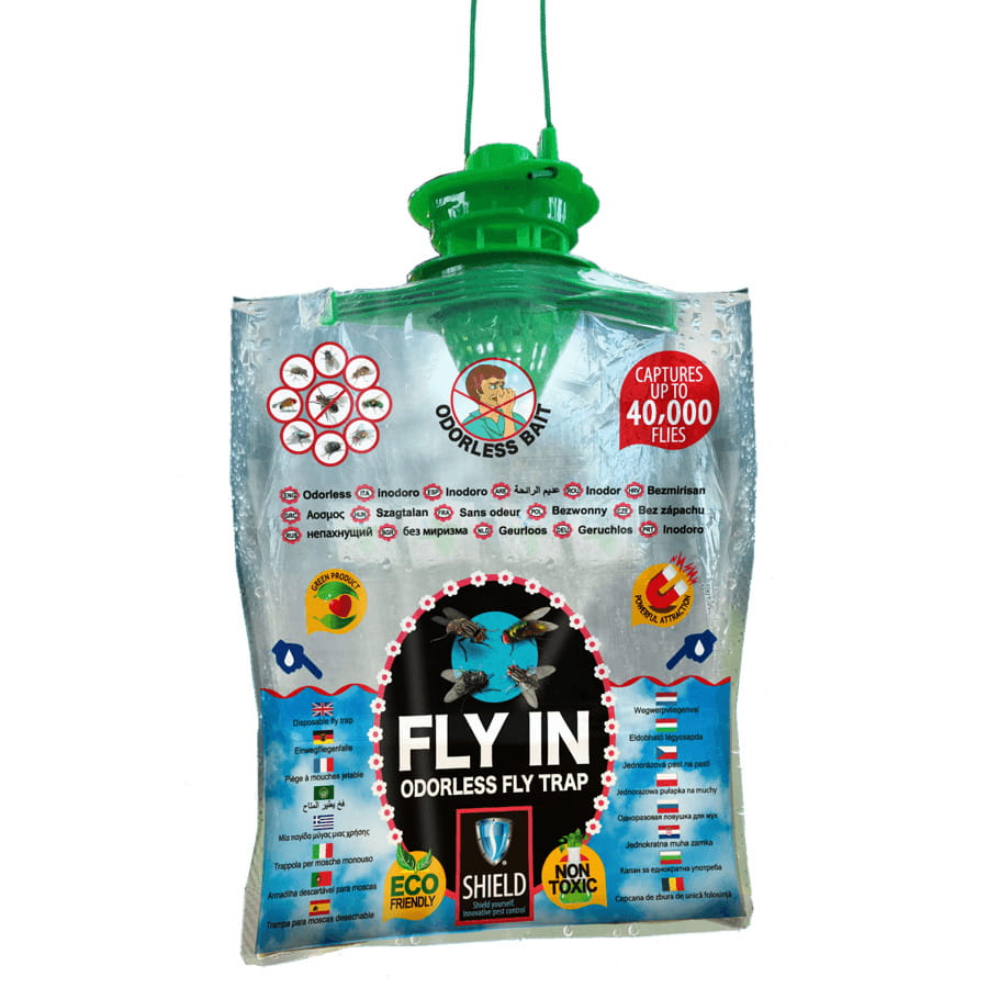

Fly In bezzapachowa pułapka na muchy z atraktantem