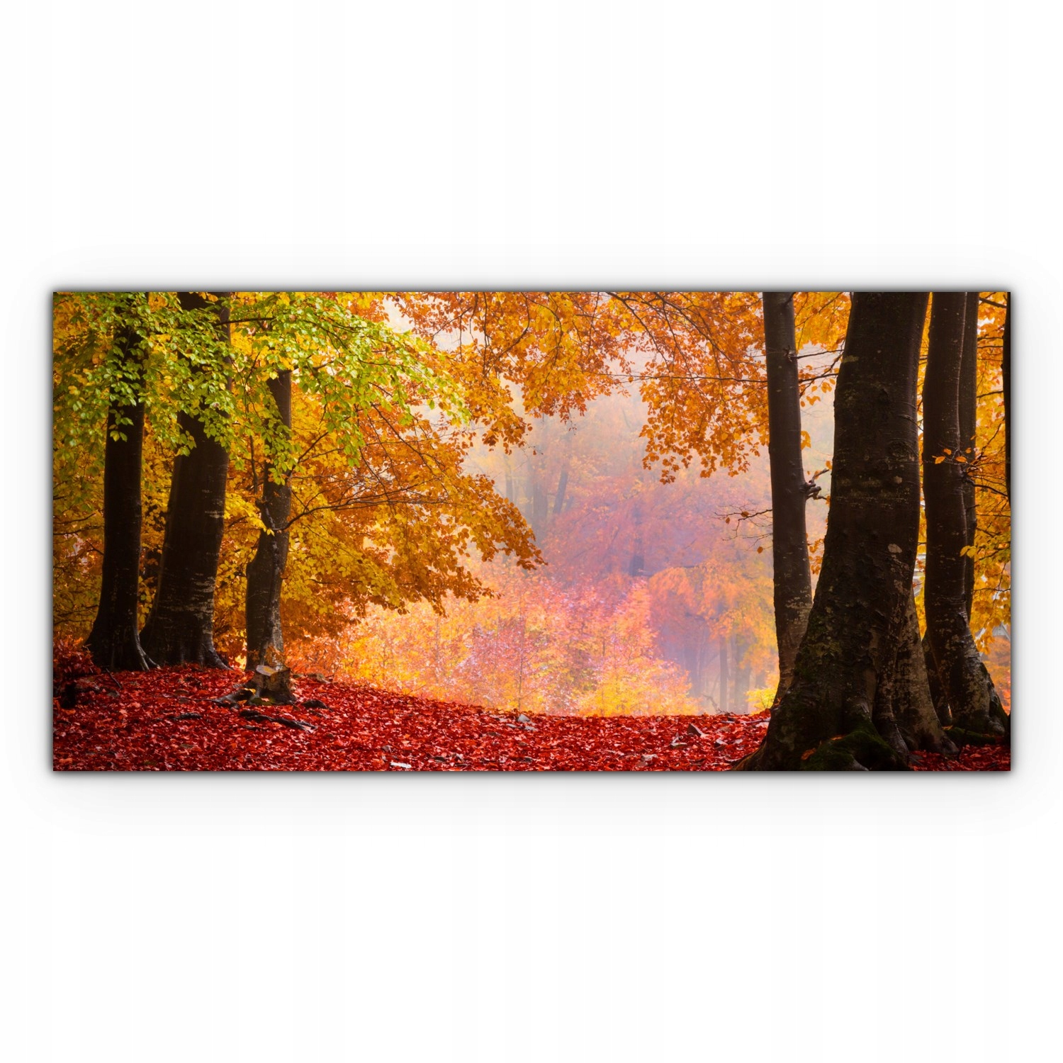 

Canvas na ramie na ścianę 120x60 Mgła Las Jesień