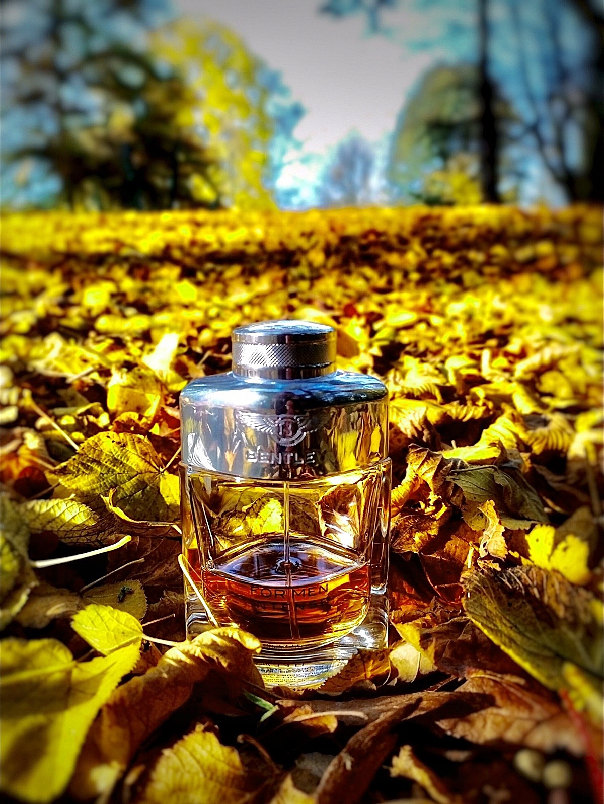 BENTLEY FOR MEN INTENSE EDP 100ML ORYGINAŁ Grupa zapachowa inna