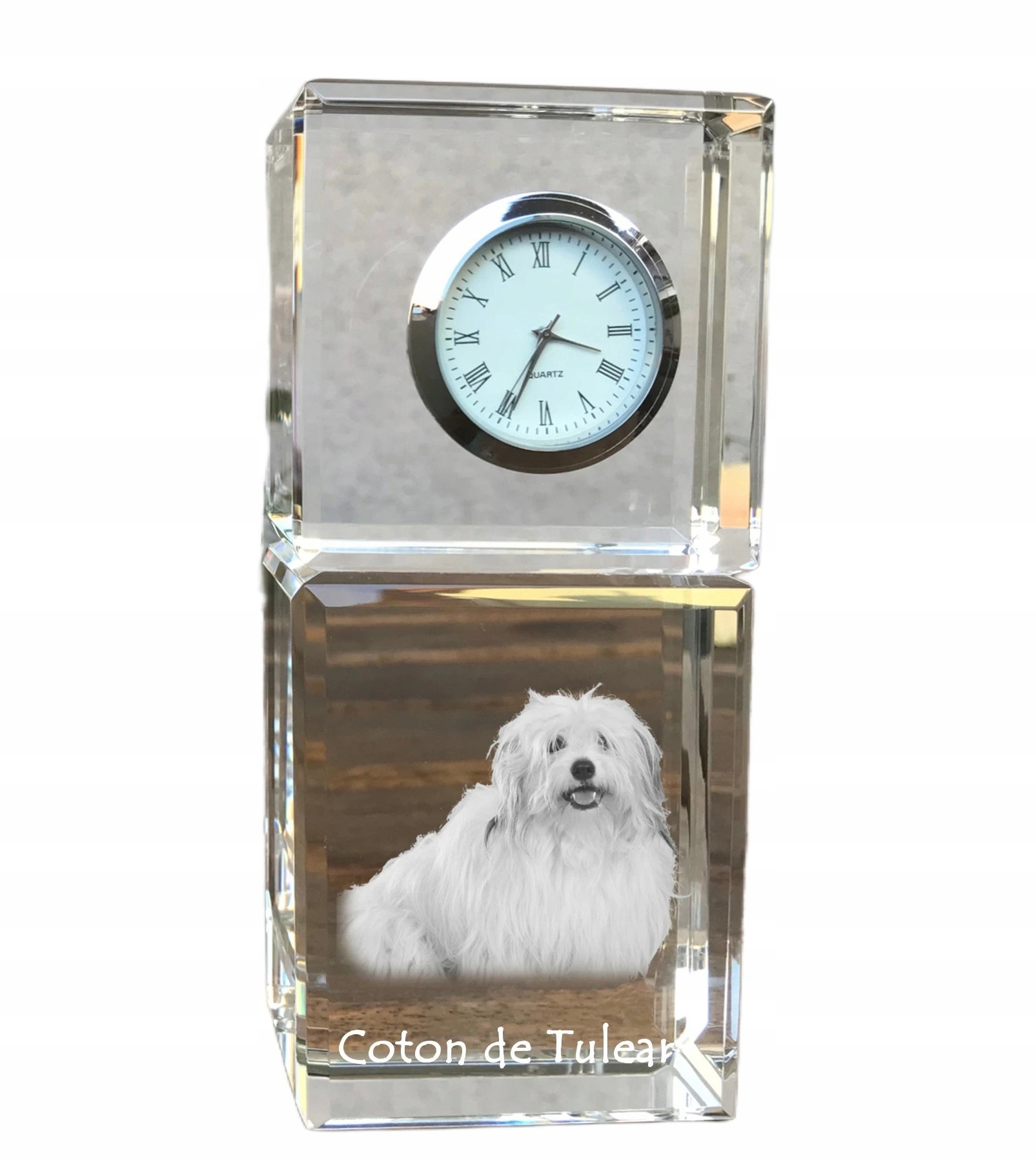 Coton de Tulear – krištáľový stolový hodinový stroj so psom, s vašou fotografiou