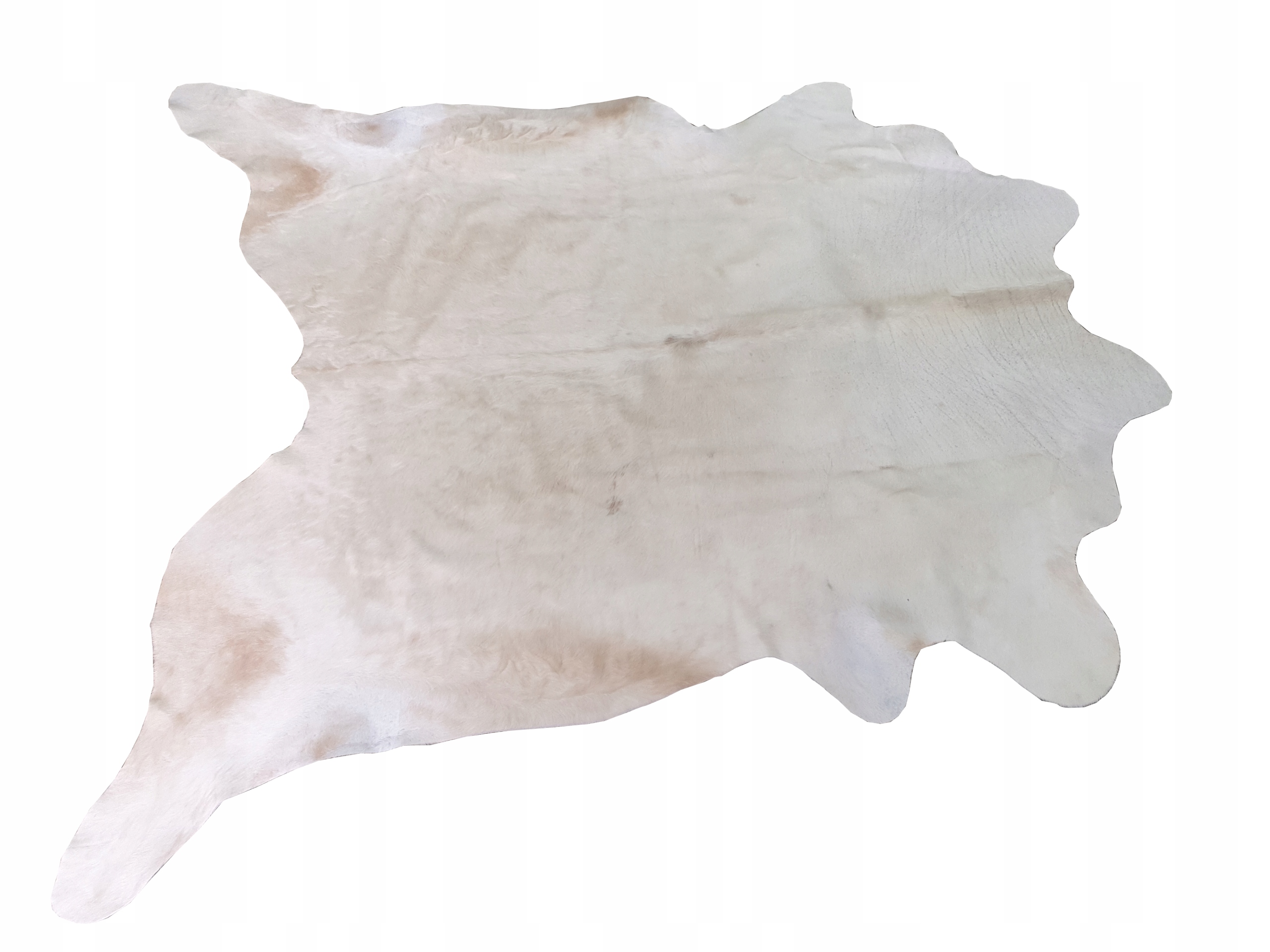 Svetlá hovädzia koža argentínska do 1.5 m2 (130 x 100 cm) malá