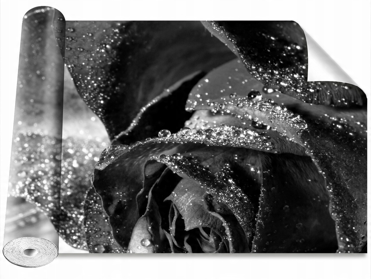 

Fototapeta Samoprzylepna Róża Woda 312x219