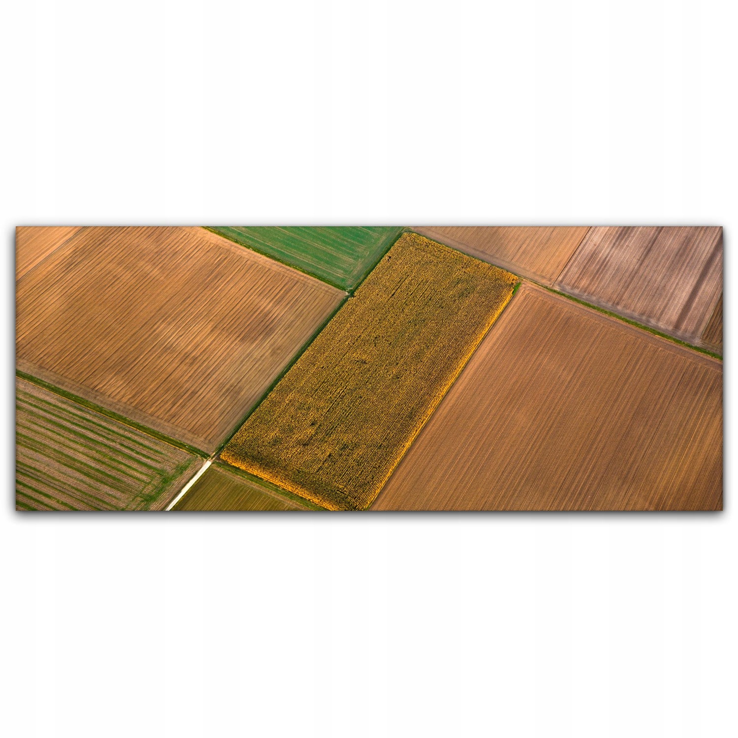 

foto-obraz na płótnie 125x50 Pole Wieś Łąka Natura