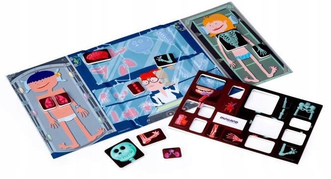 

Ciało Człowieka układanka magnetyczna Miniland