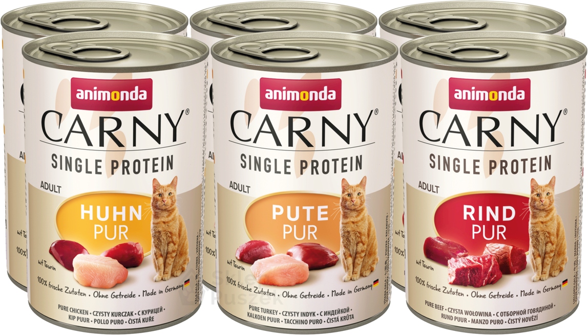 Levně Animonda Kočka Carny Single Protein mix chutí plechovka Set 12x400g