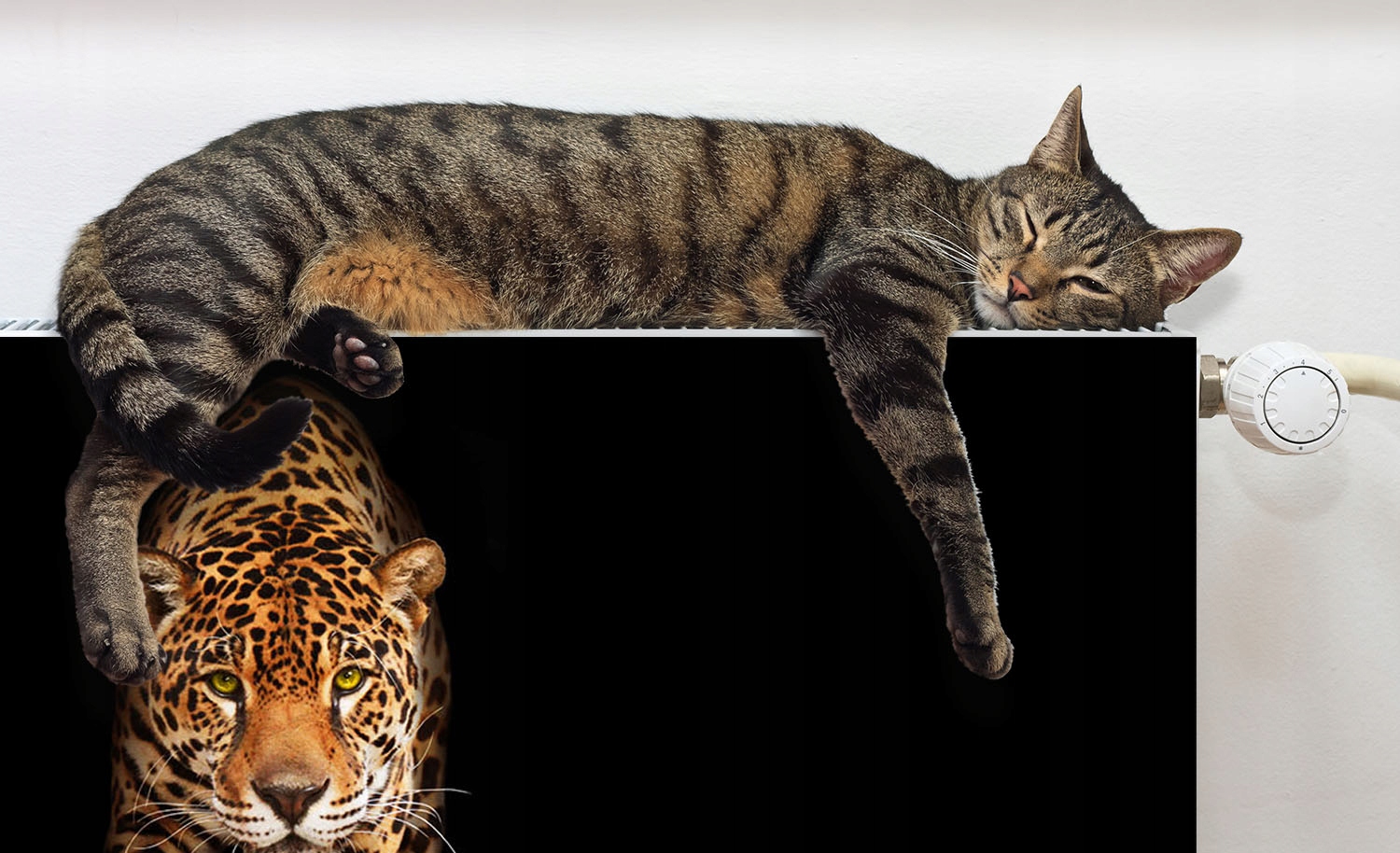 MAGNES MATA MAGNETYCZNA NA KALORYFER 140x60 KOT FOTOTAPETA Materiał mata magnetyczna