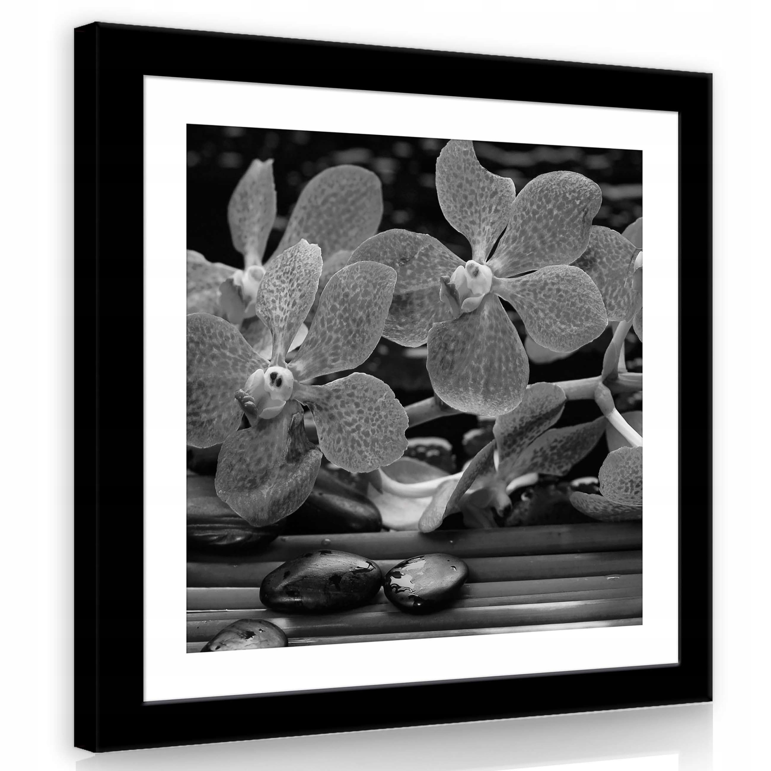 Obraz 80x80 Orchideje květiny okvětní lístky bambus klid příroda