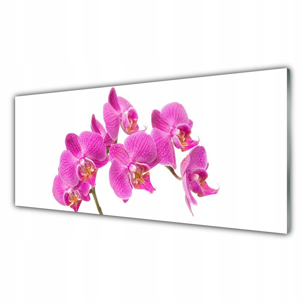 

Fotoobraz nowoczesny 125x50 Orchidea Kwiaty Natura