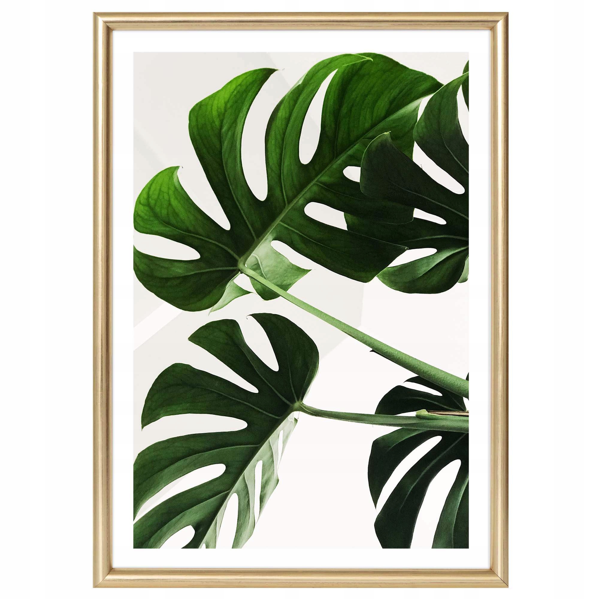 

Drewniana Ramka na Dyplom Złota Prosta A4 21x30