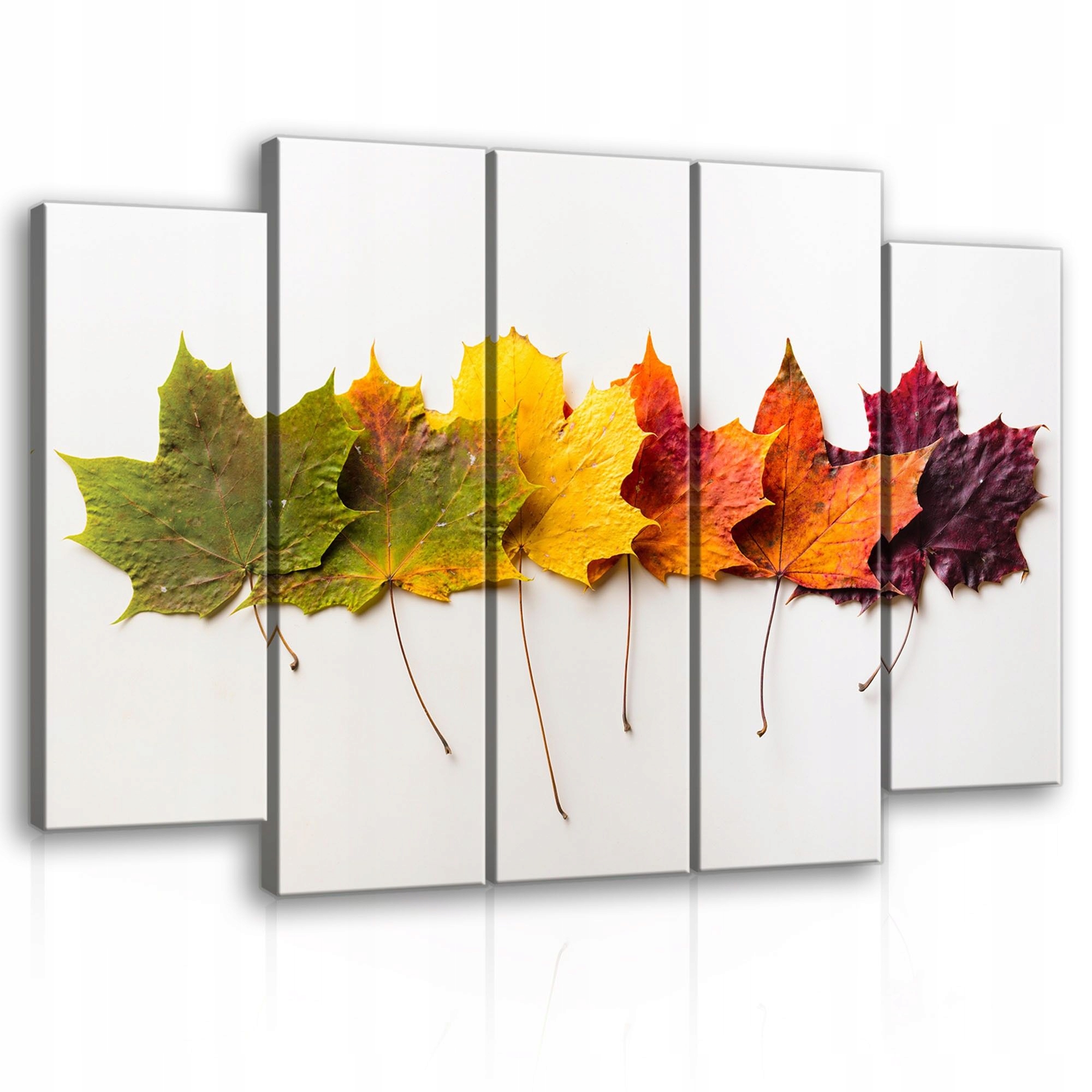 Obraz 150x100 Jeseň, javorové listy, teplo, útulný gradient, farby príroda