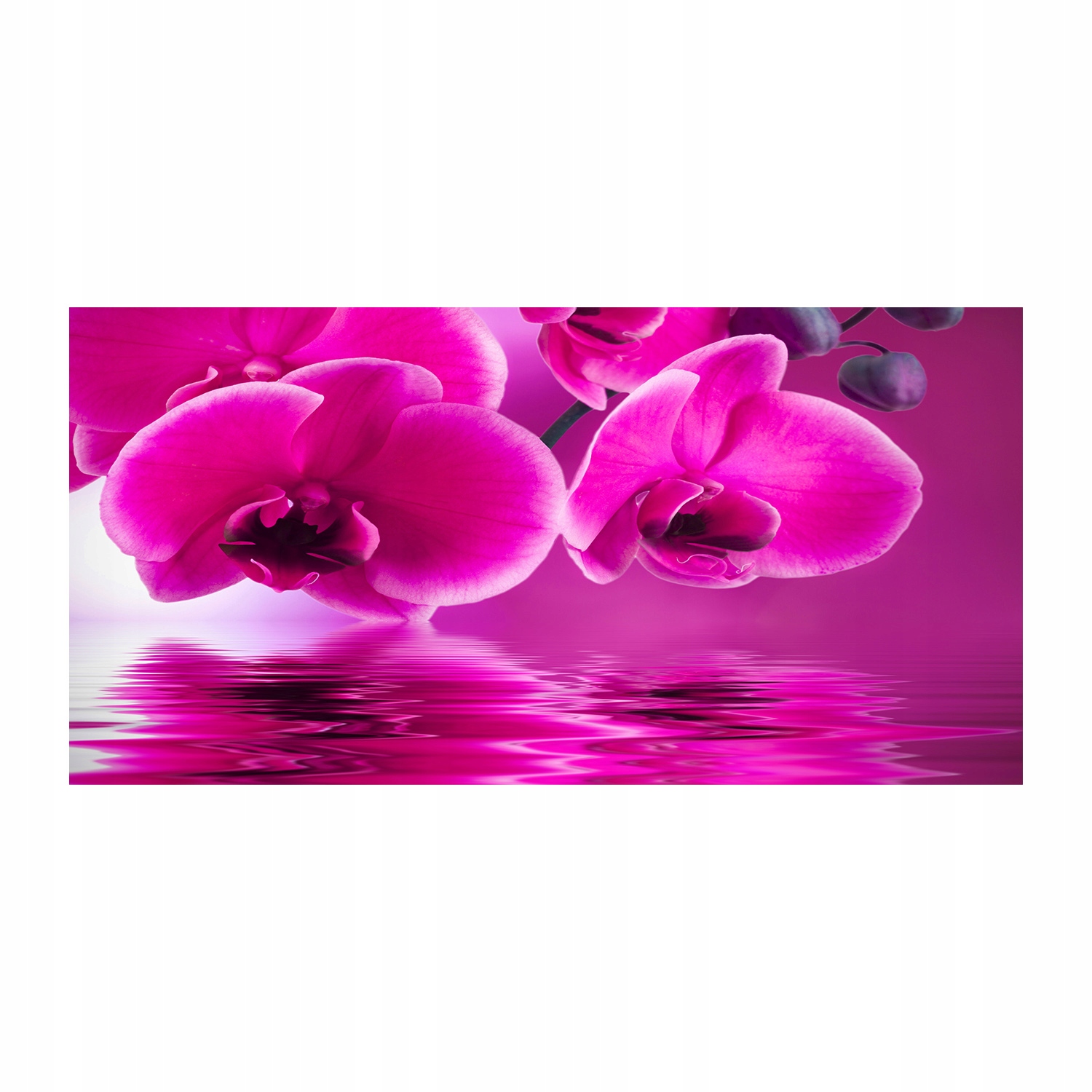 

Foto obraz duży akryl nowoczesny Orchidea 120X60cm