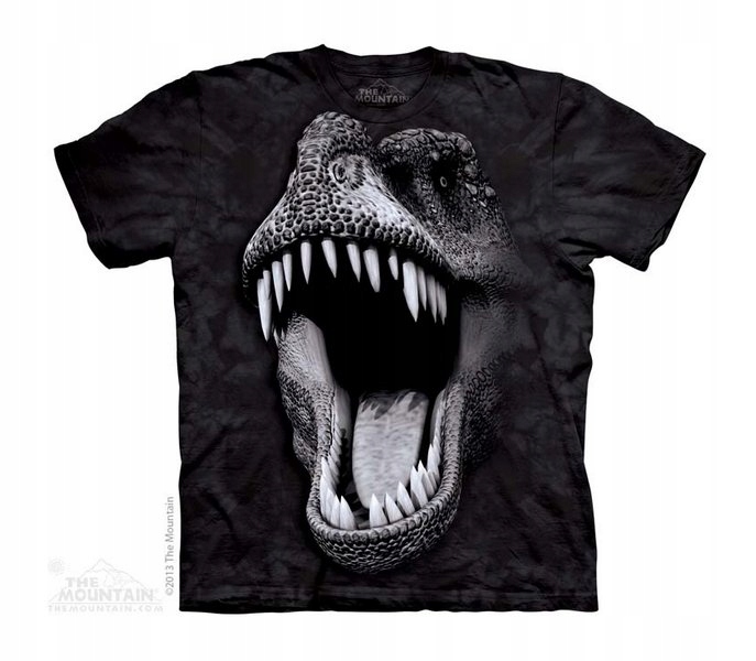 

Big Face Glow Rex - The Mountain Junior L