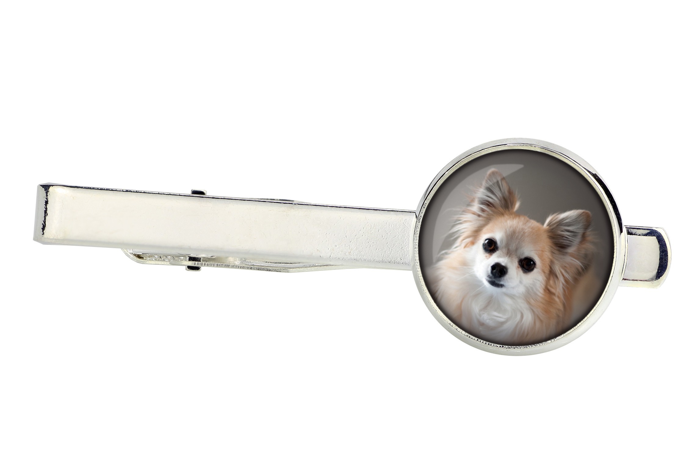 

Chihuahua długowłosa Spinka do krawata ze zdjęciem