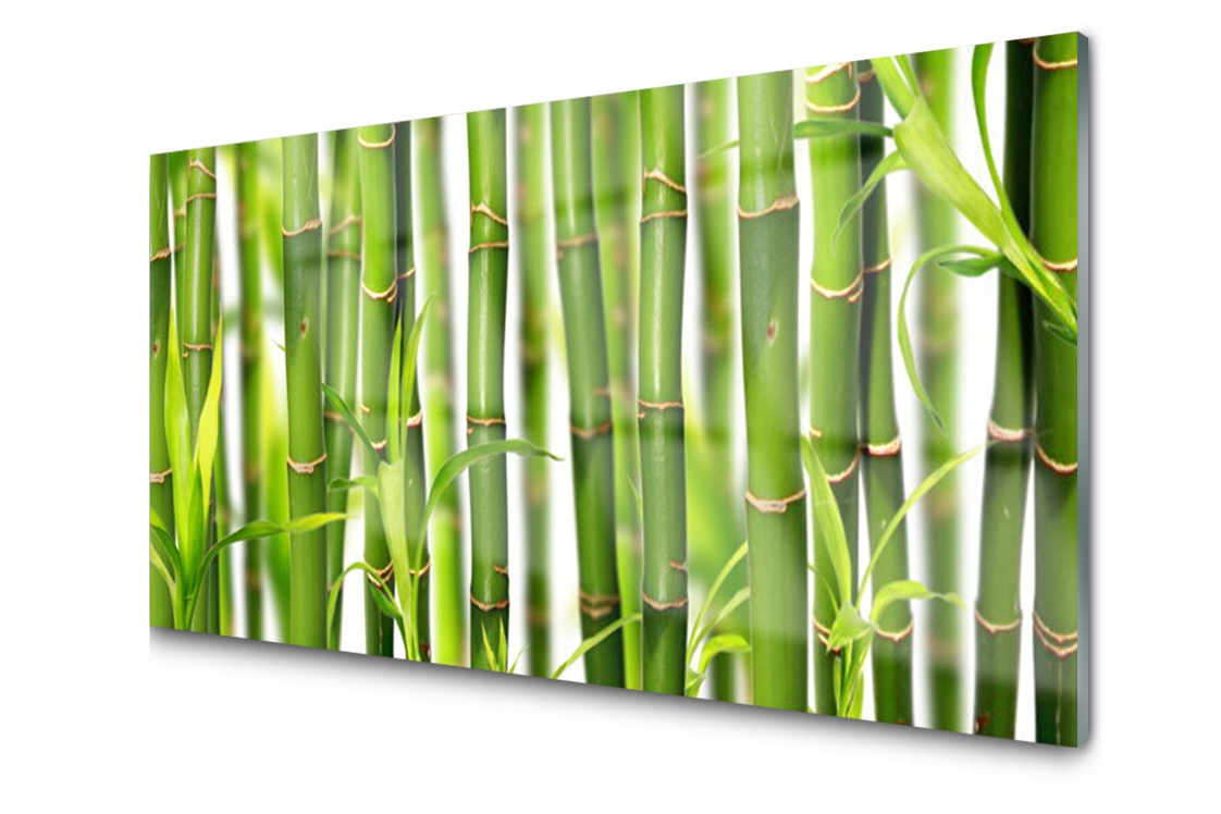 Skleněný panel Deska Výhonky Listy Bambus 120x60