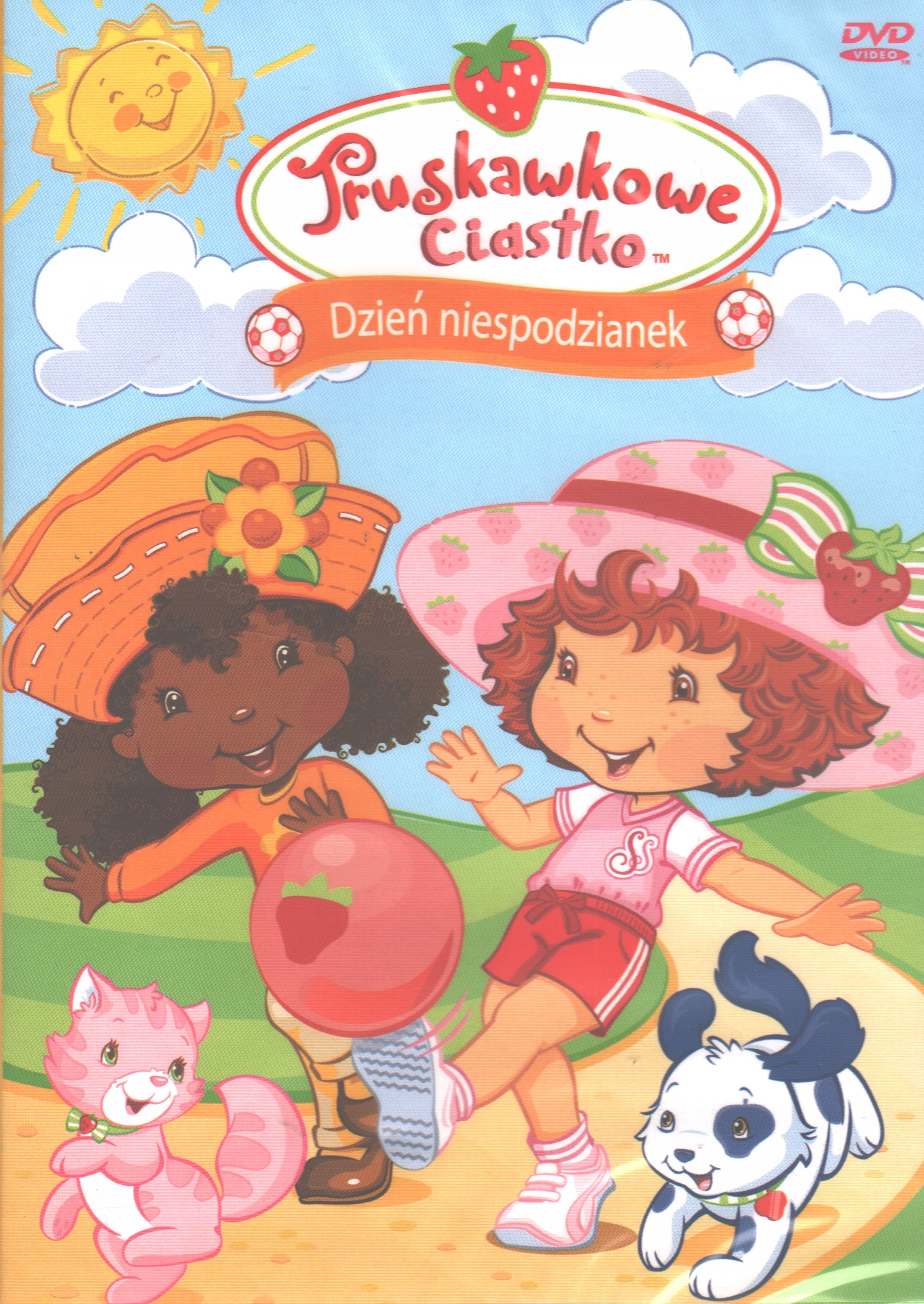 TRUSKAWKOWE CIASTKO DZIEŃ NIESPODZIANEK DVD FOLIA