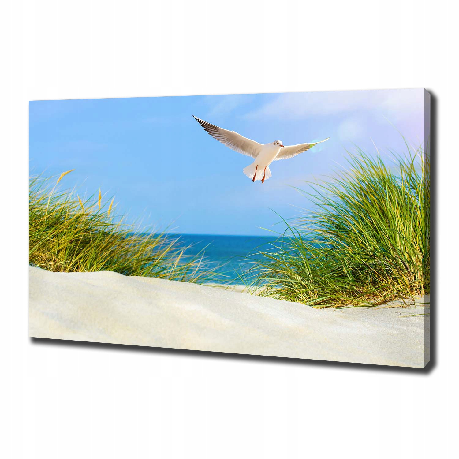 

Foto obraz na płótnie Mewa na plaży 100x70 cm