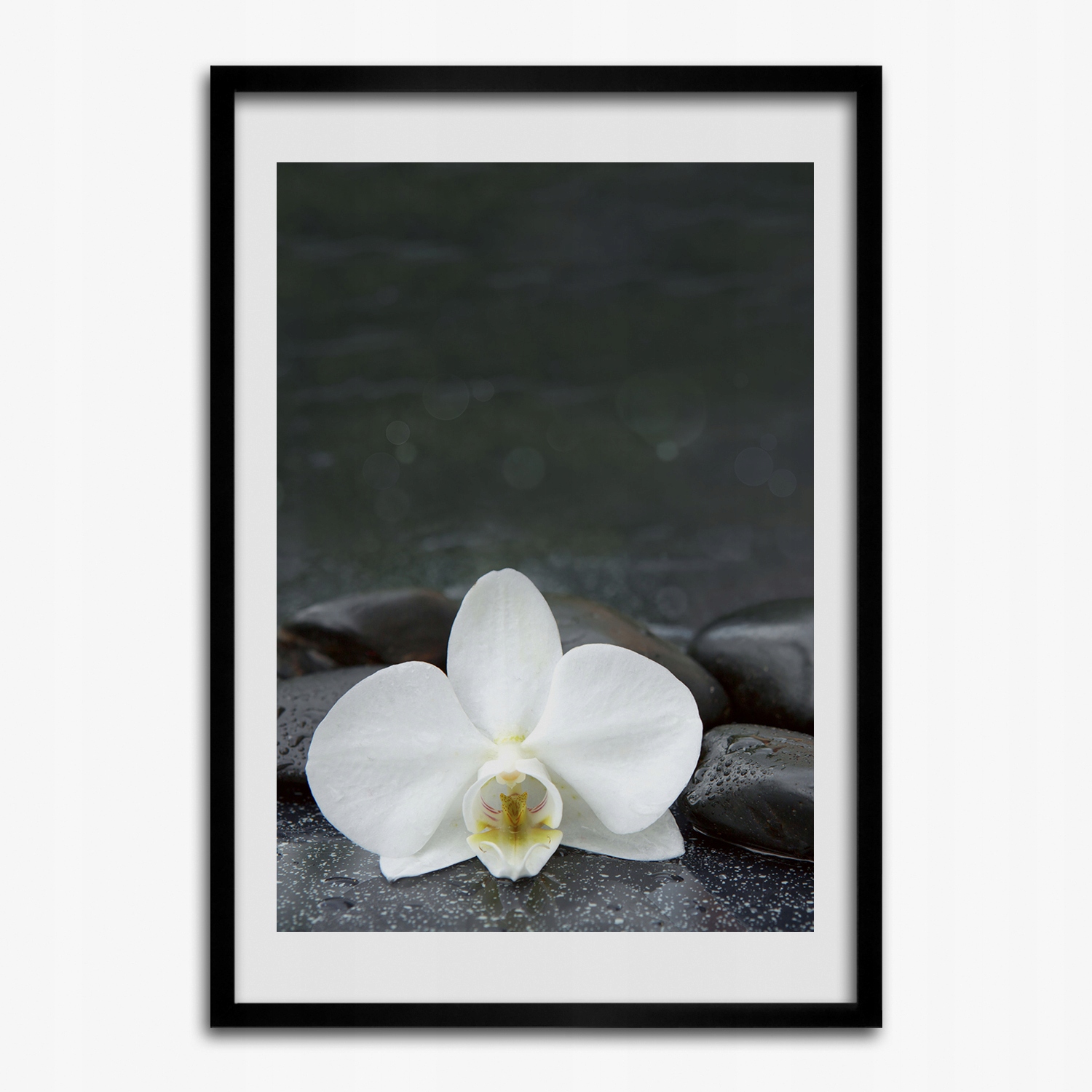 Závěsný fotoobraz rámeček Orchidej s kameny 50x70