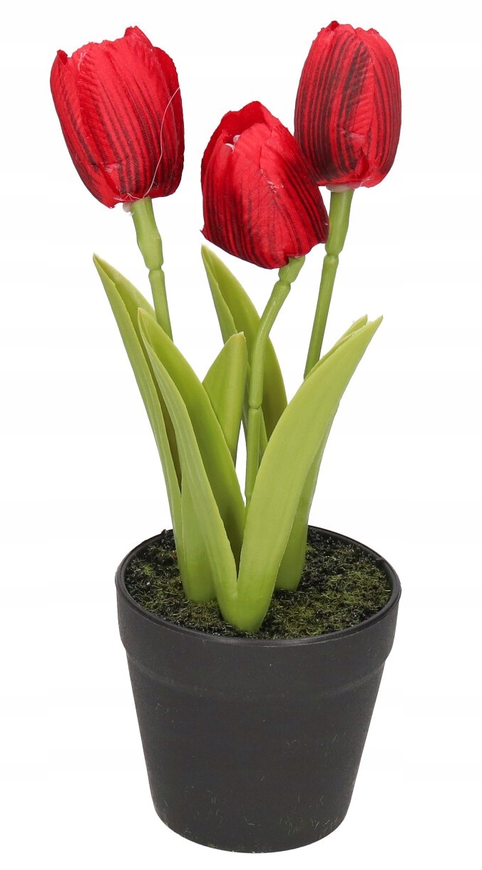 

Tulipany Bukiet Tulipanów Kwiaty Gumowe Jak Żywe