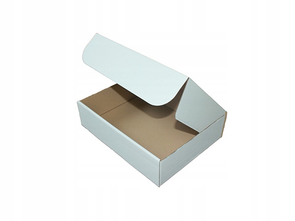 Karton fasonowy 250x200x100