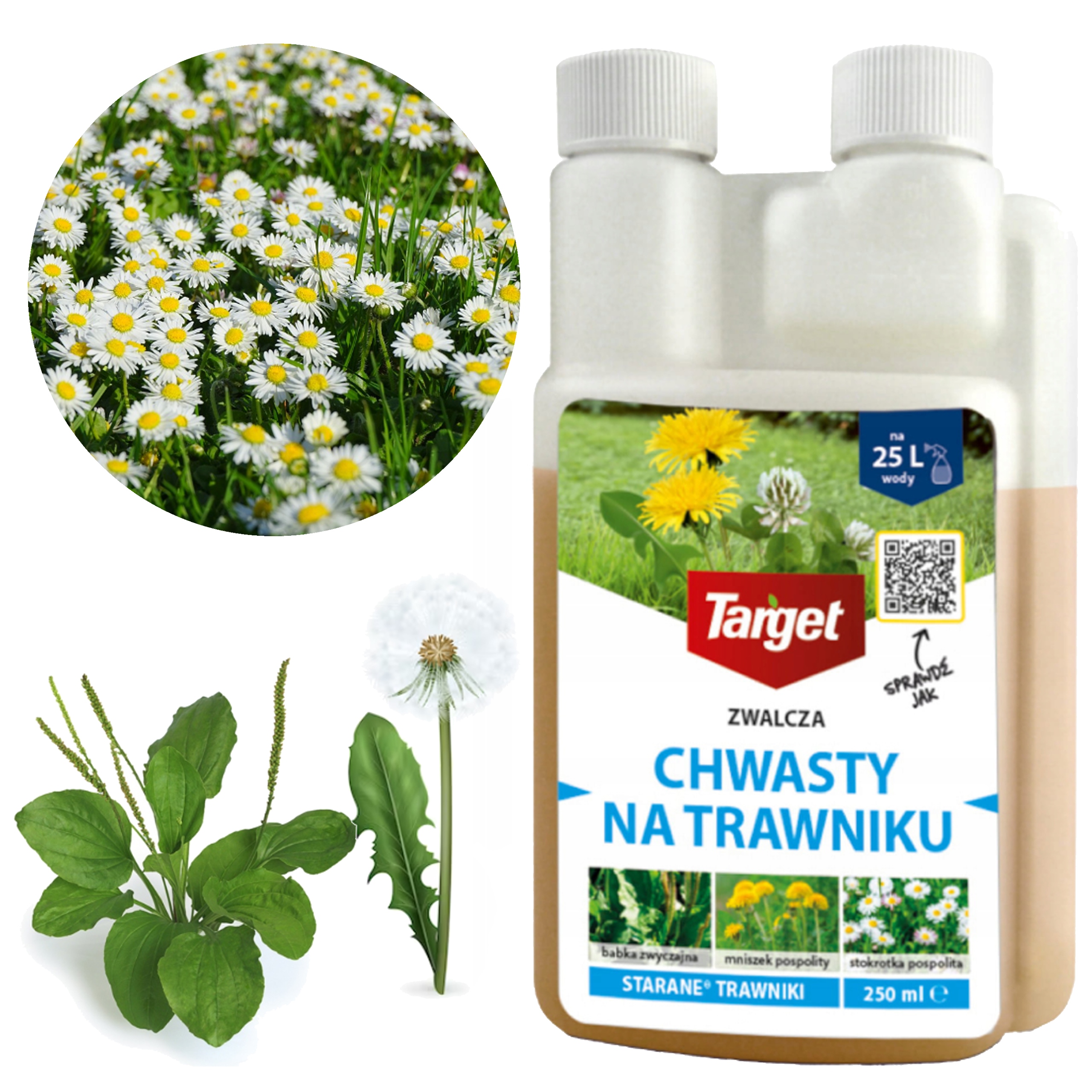 Środek Na Chwasty W Trawie Target Starane 250 ML Bezpieczny Preparat Oprysk