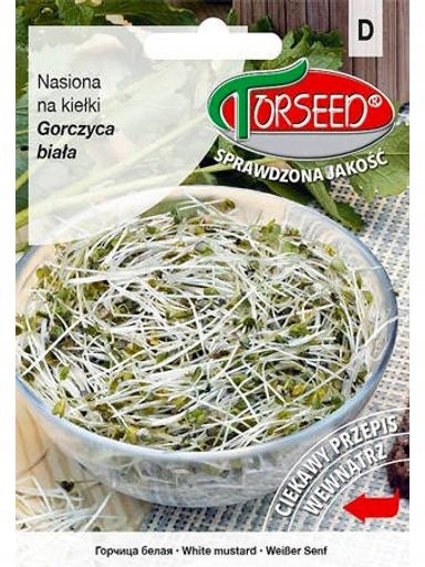 Levně 4 x Hořčice bílá, semínka na klíčky 250 g Torseed