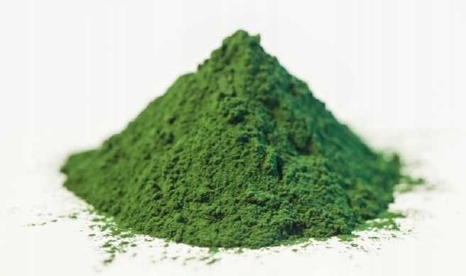 

Najlepsze Algi Morskie: Chlorella W Proszku 1KG