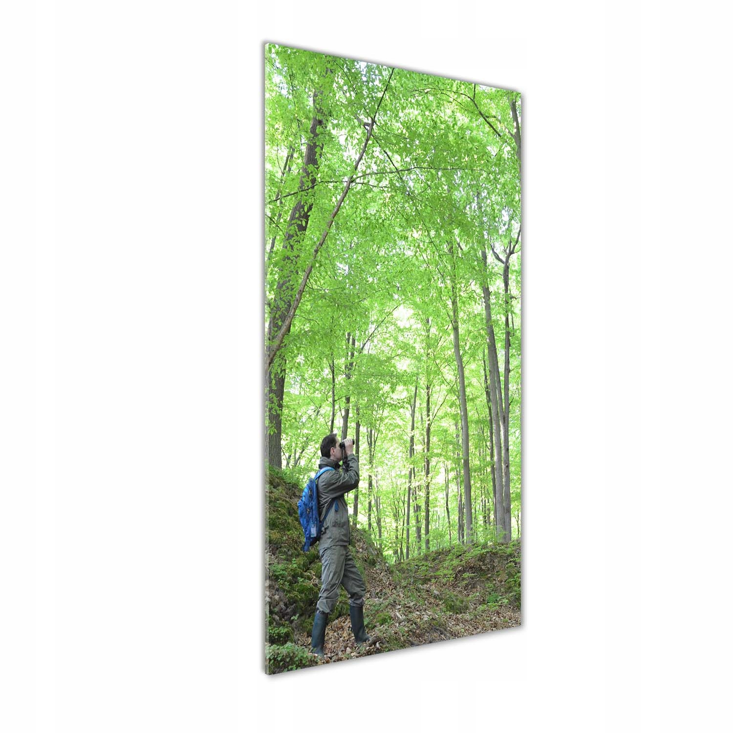 

Foto obraz akrylowy na ścianę Ornitolog 50x125cm