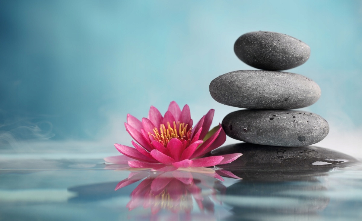 

Tapeta flizelinowa Lilia wodna 416x254