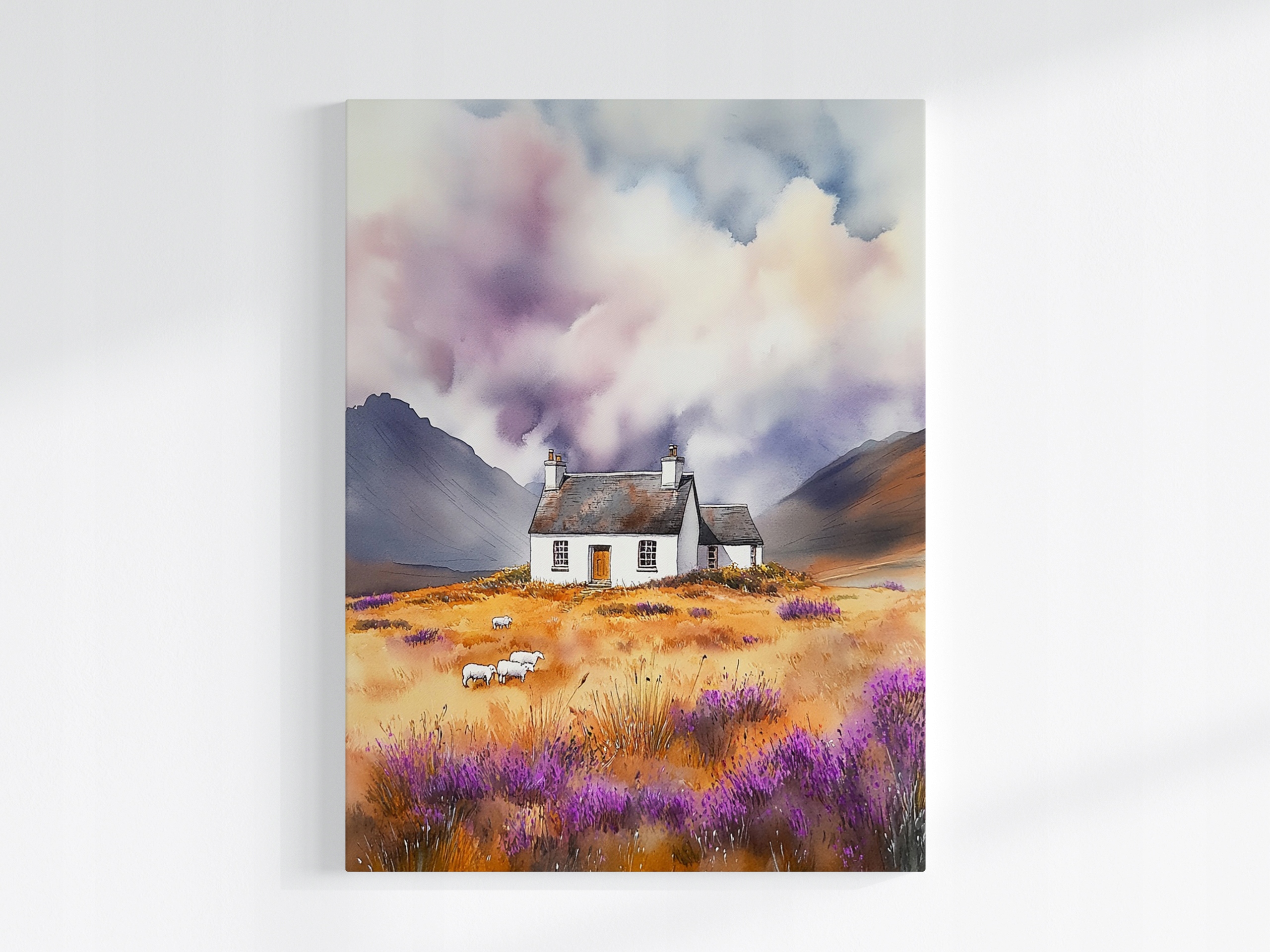 Obraz Na Plátně Canvas Krajina Skotsko Highland Hory Dům Vřesy Ovce 60x80