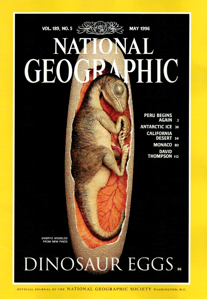 National Geographic 189 5 1996