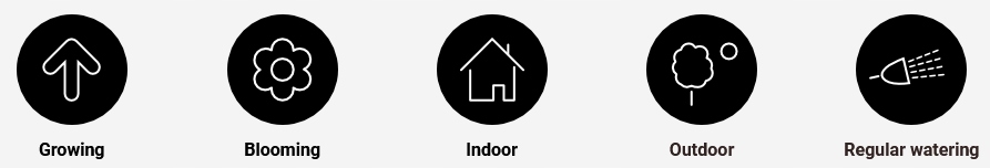 Ziemia Biobizz All-mix 50L - ziemia uprawowa Marka Biobizz