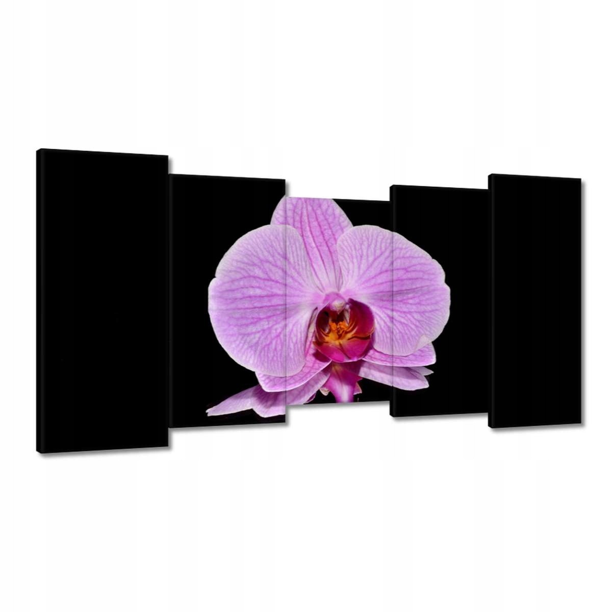 Obrazy 150x80 Fialový orchidej