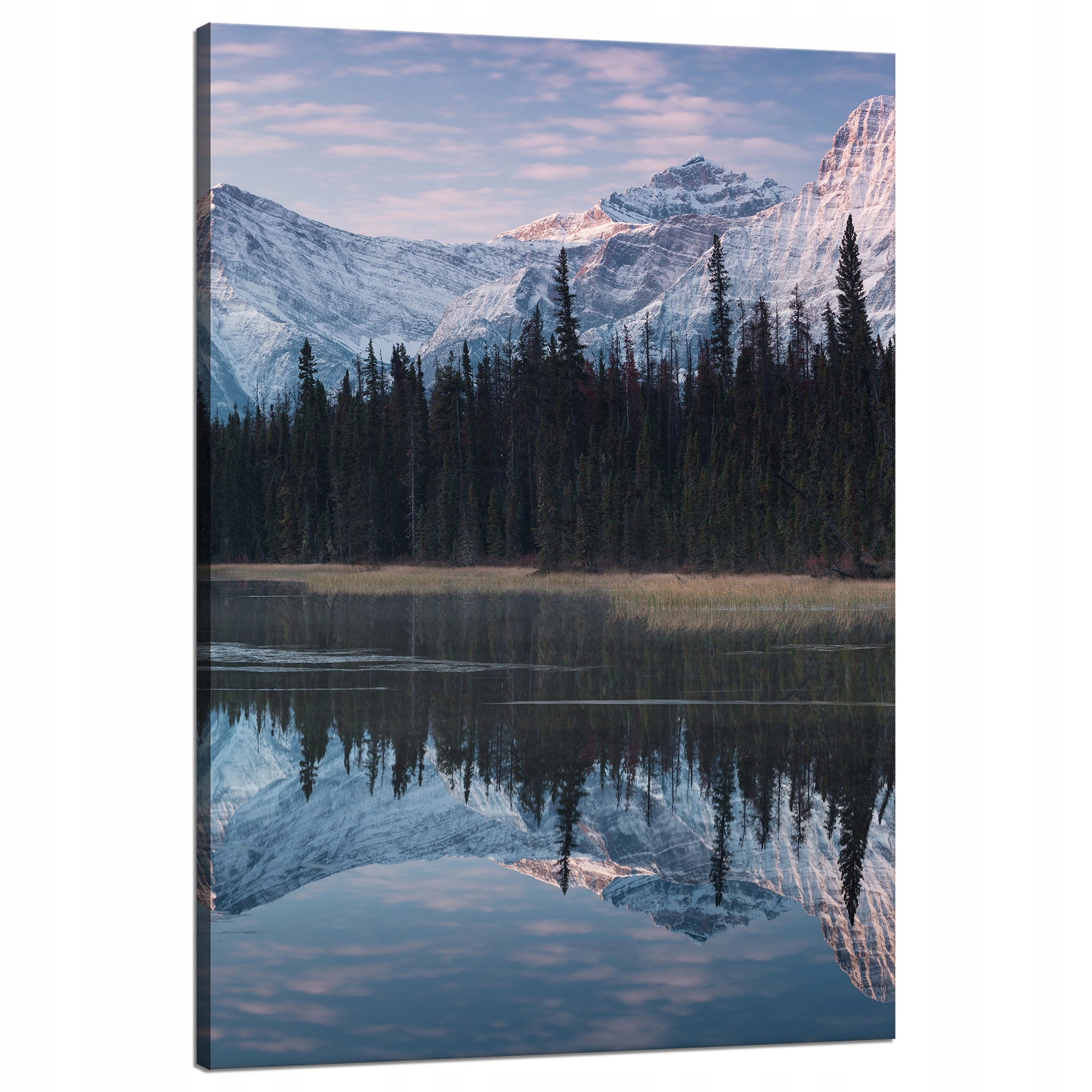 Obraz na plátně Jezerní plocha Voda Sněhové lesy Hory 80x120 cm