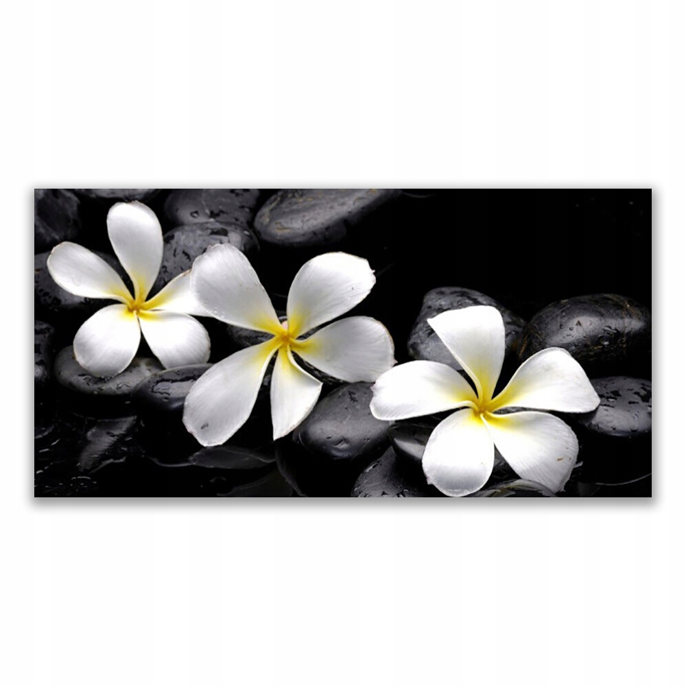 

Obraz akryl ścienny 120x60 Kwiat Plumeria Roślina