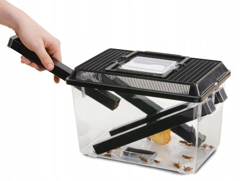 Levně Exo Terra Cricket Pen Cvrčci Terárium box pro chov cvrčků 30 cm L