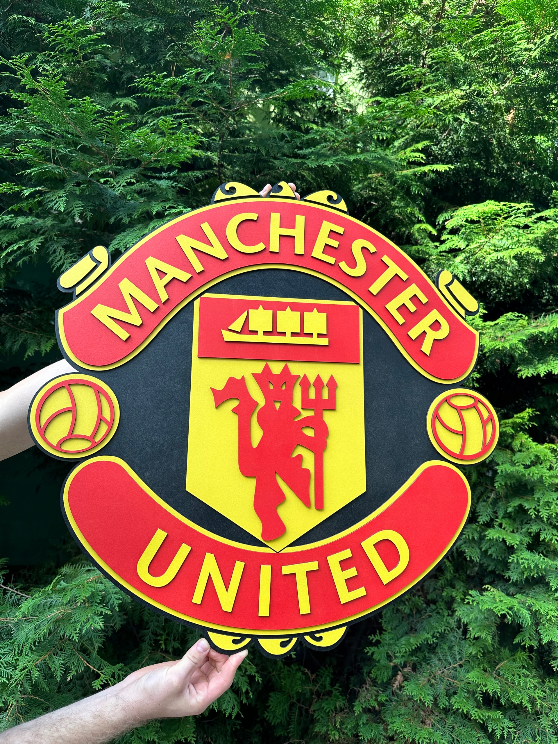 Fc Manchester United Drevený 3D obraz Futbalový erb