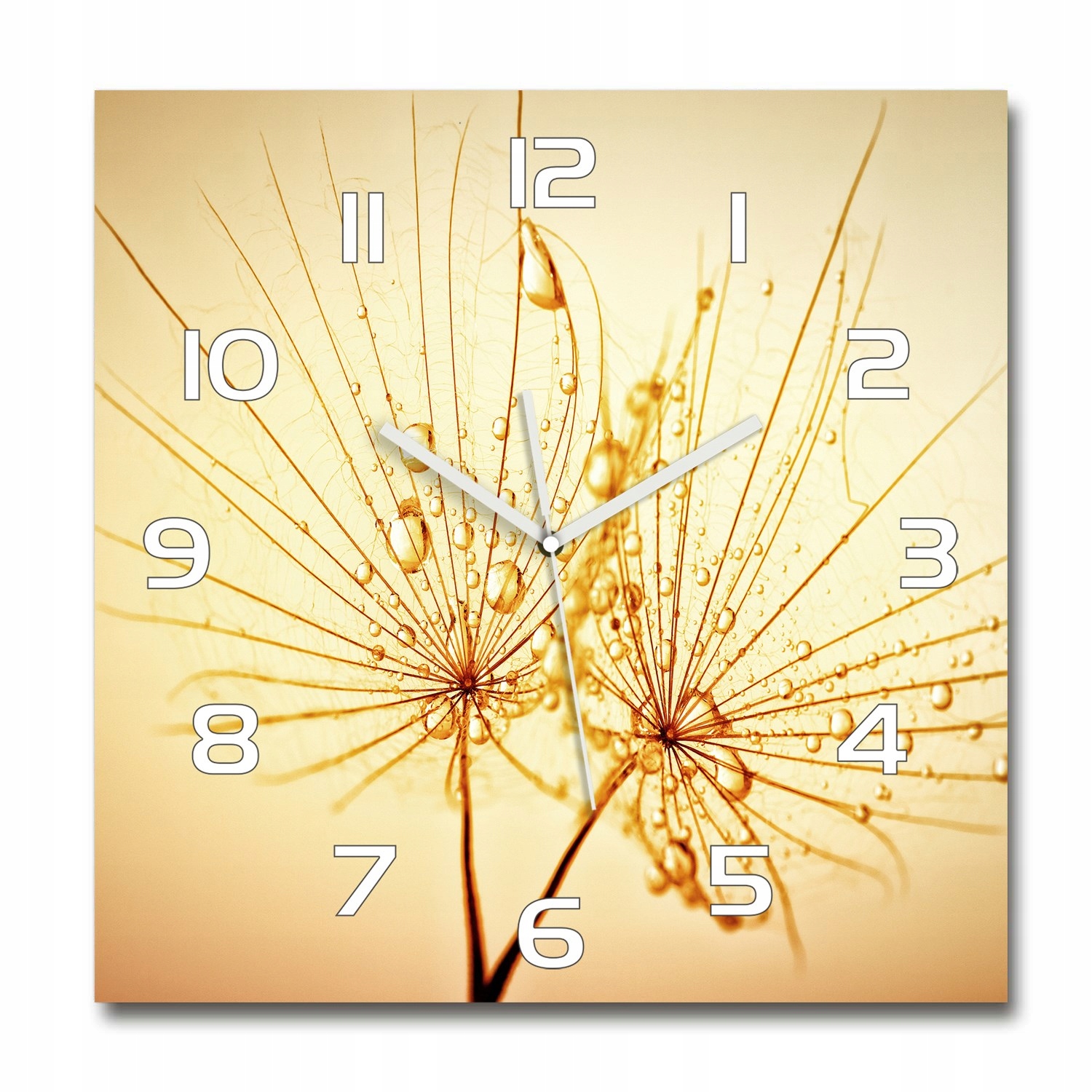 

Nowoczesny szklany zegar Nasiona dmuchawca 60x60cm