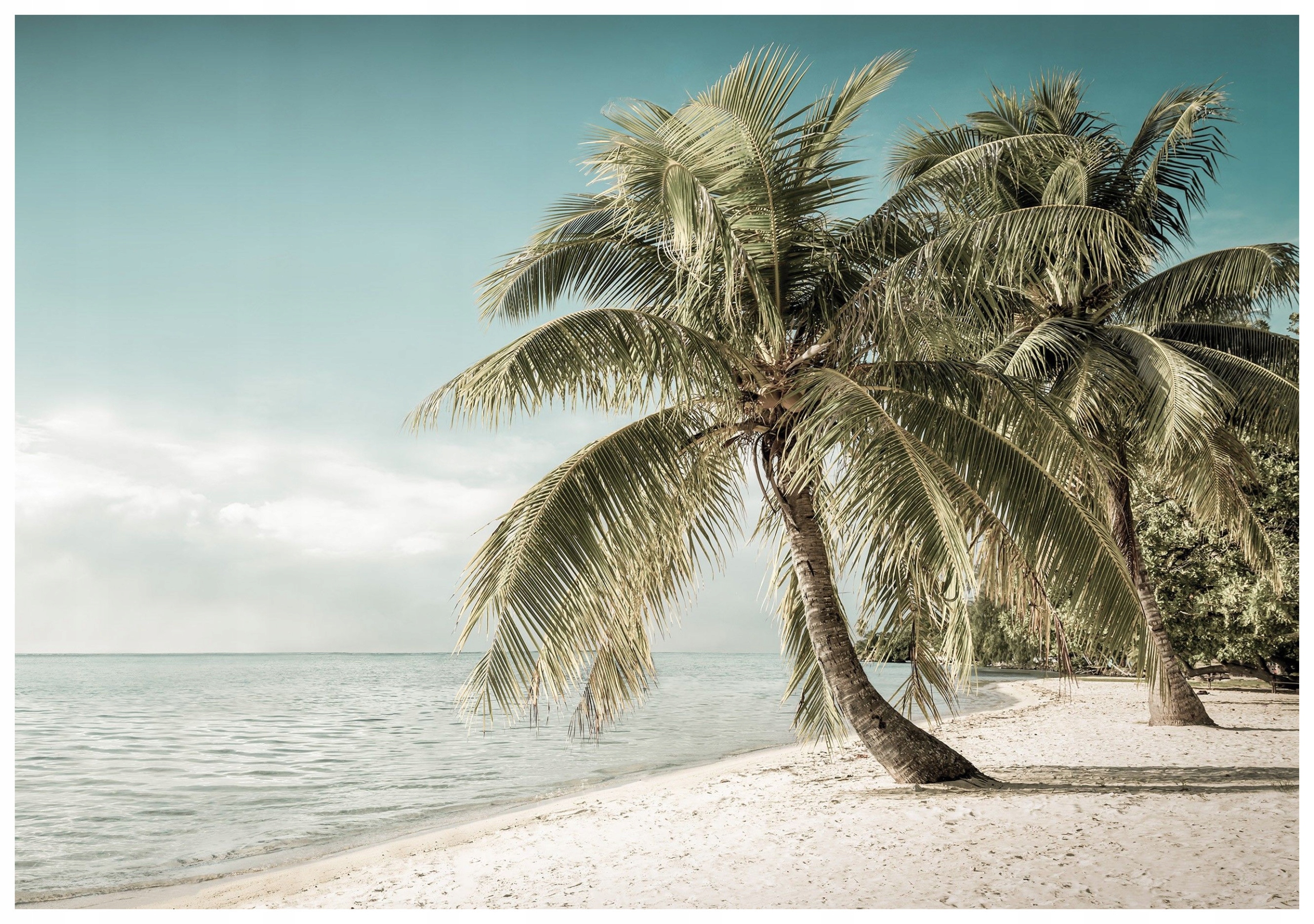 Fototapeta flizelina Palmy bílý písek modré moře relaxace 300x210 lepidlo