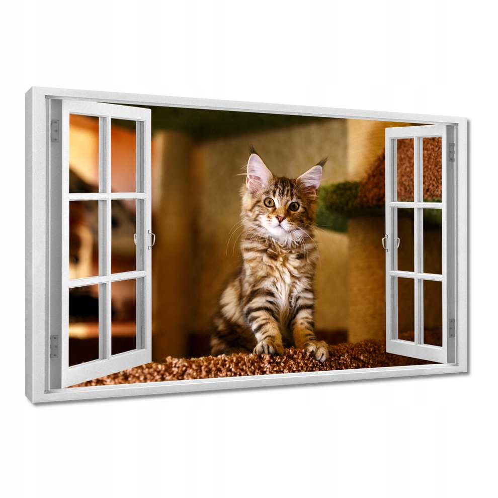 

Obrazy 120x80 Kot Kotek Kotki Kicia