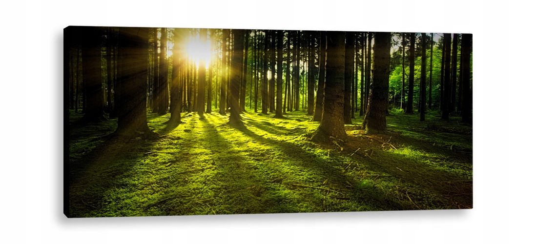 OBRAZ LED 150x60 - podświetlany - SŁONECZNY BLASK Marka Decorator