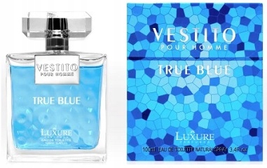 Parfém Luxure Vestito Pour Homme Pánský 100 ml