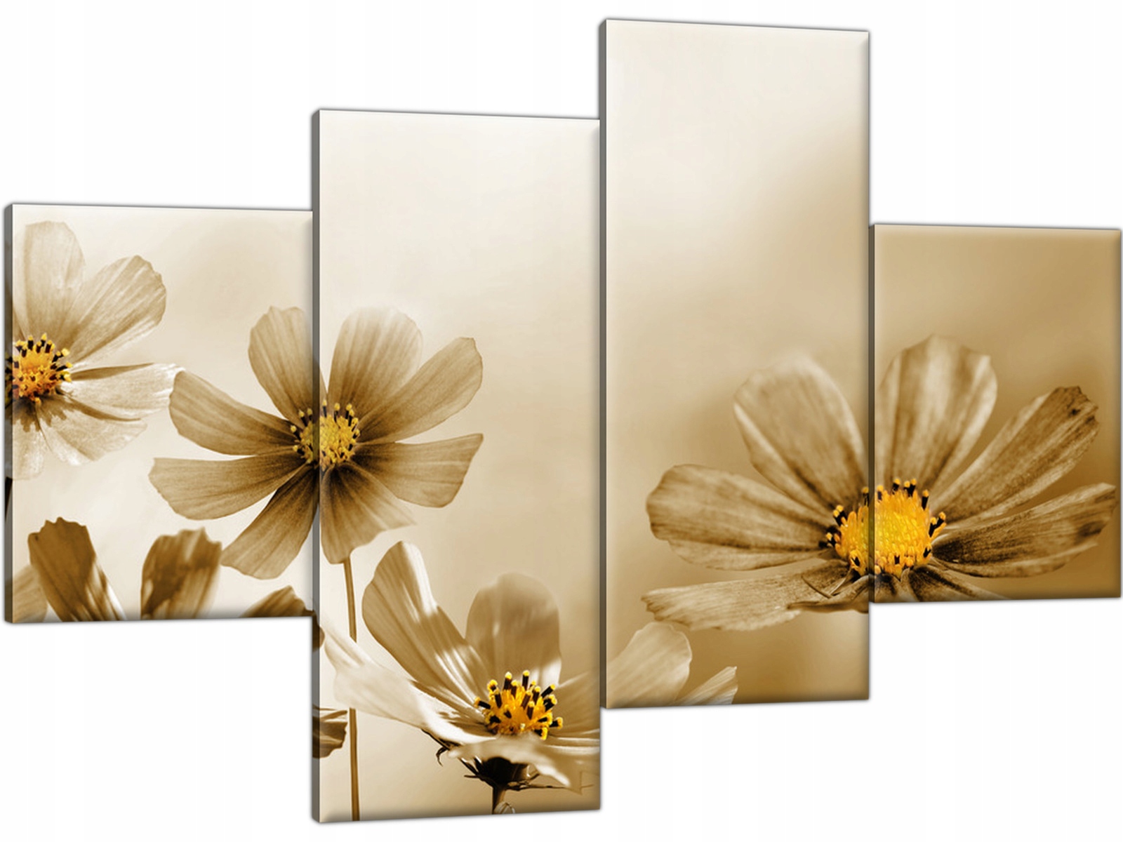 

Tryptyk Kwiaty Sepia 120x80 Obraz do salonu