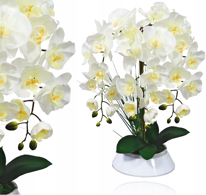 

Storczyk Sztuczny Storczyki Kwiat Orchidea