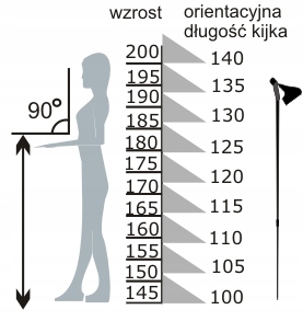 SKŁADANE KIJE TREKKINGOWE NORDIC WALKING ROCKLAND DYNAMIC 110-130cm ALU Grot widiowe