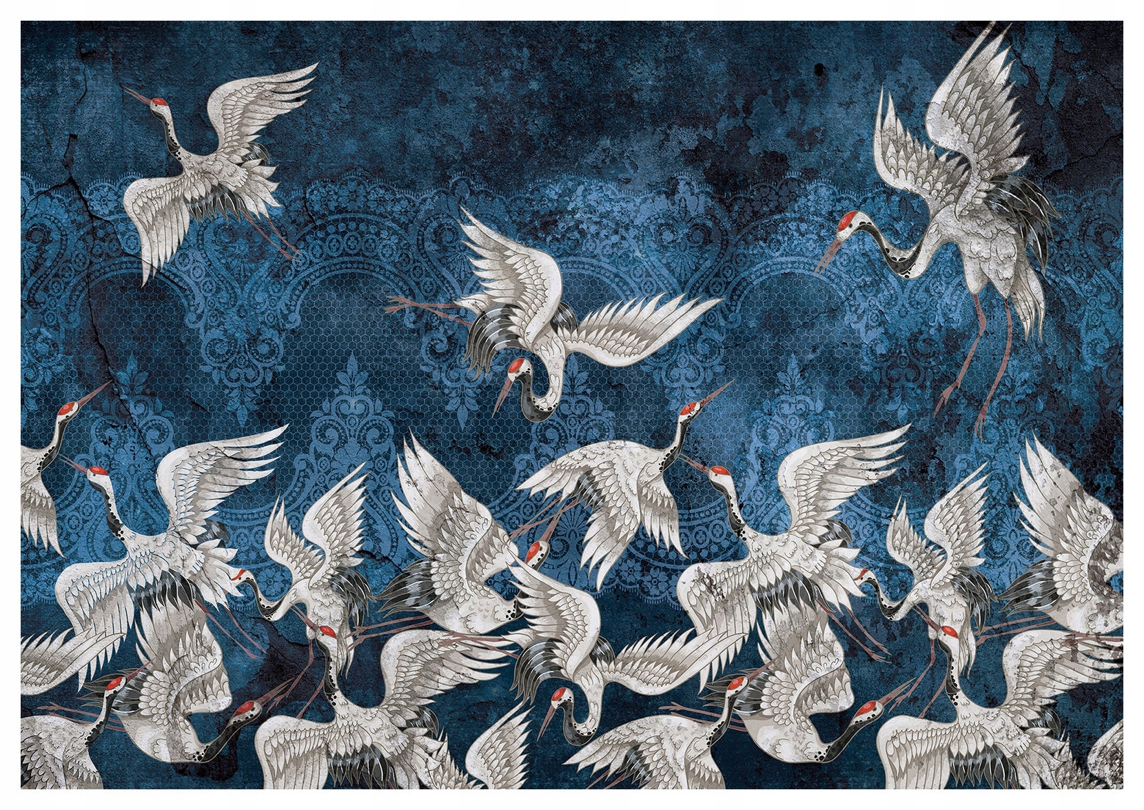 Fototapeta Žeriavy modré vinylové pozadie 368x280 lepidlo