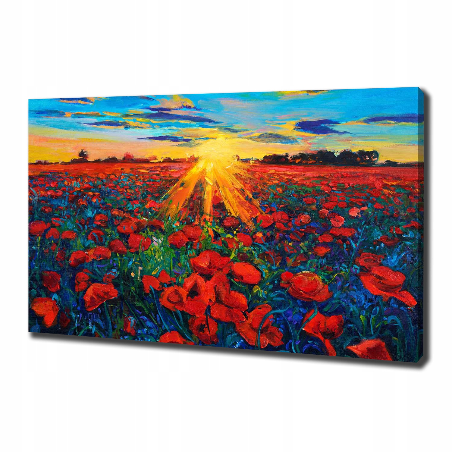 

Foto obraz canvas na ścianę Pole maków 100x70 cm