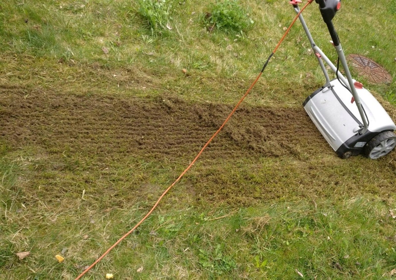 24 X sprężyna AL-KO Comfort Combi-Care aerator Marka perfektGarten